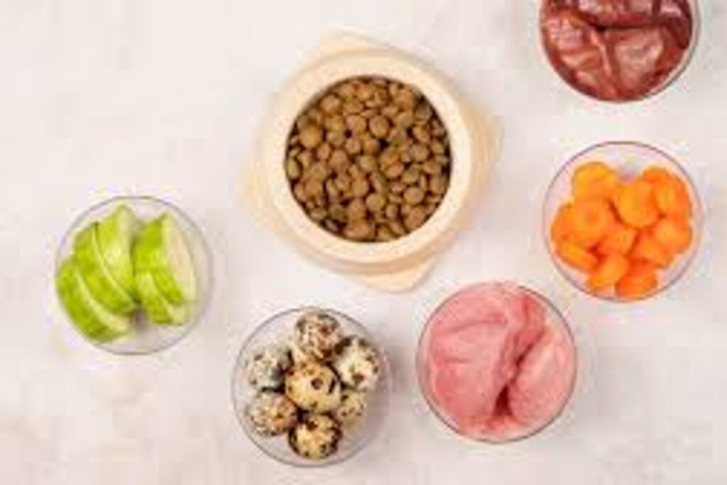 dieta caseira ou alimentação natural