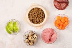 alimentação natural ou ração