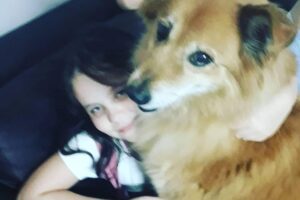 Pet para conviver com crianças