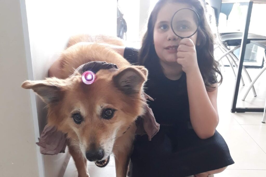 A convivência entre pets e crianças