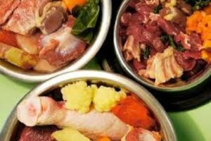 alimentação natural para cães